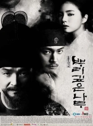 Regarder Tree with Deep Roots - Saison 1 en streaming complet