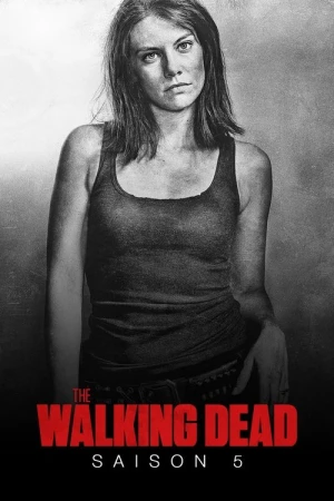  The Walking Dead - Saison 5 affiche 