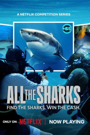  All the Sharks : Trouvez-les tous ! - Saison 1 affiche 
