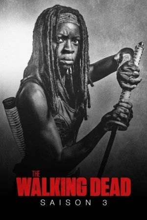  The Walking Dead - Saison 3 affiche 