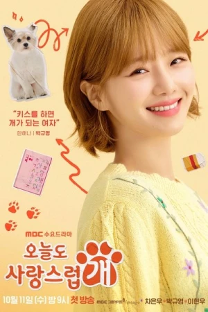 Regarder A Good Day To Be A Dog en streaming complet