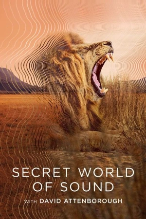 Regarder Le Monde Secret Du Son Avec David Attenborough - Saison 1 en streaming complet