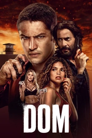  Dom - Saison 2 affiche 