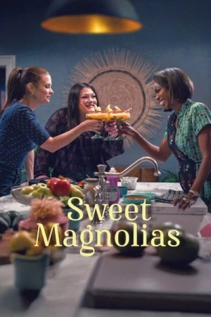  À l'Ombre Des Magnolias - Saison 4 affiche 