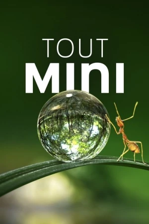  Tiny World - Saison 1 affiche 