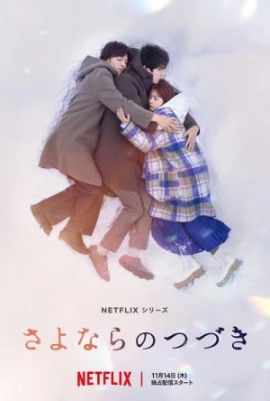  Beyond Goodbye - Saison 1 affiche 