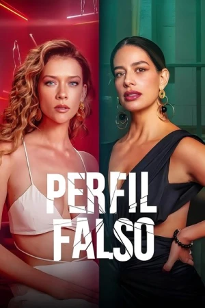  Faux profil - Saison 2 affiche 