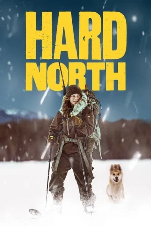 Regarder Hard North - Saison 1 en streaming complet