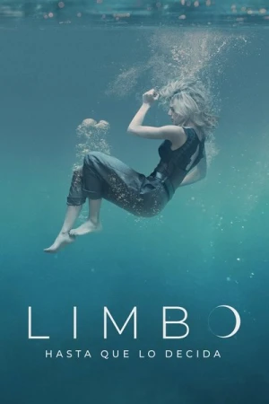  Limbo - Saison 1 affiche 