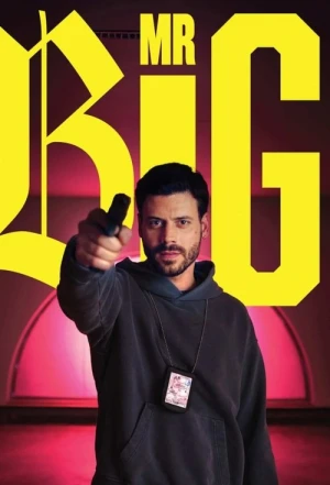  MR BIG - Saison 1 affiche 